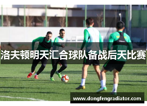 洛夫顿明天汇合球队备战后天比赛